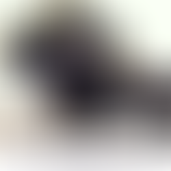 Saddle Fit: Exploring The Ramifications Of Rider Sex