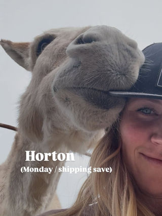 Horton