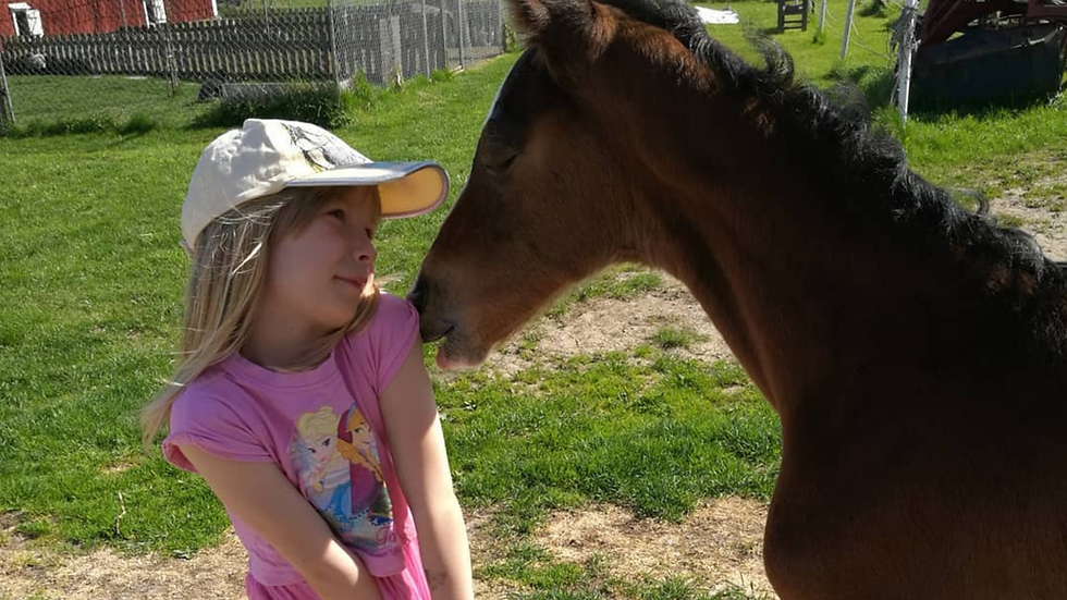 A girl in a pink dress and cap lovingly faces a brown horse in a grassy field, with a red barn in the background.