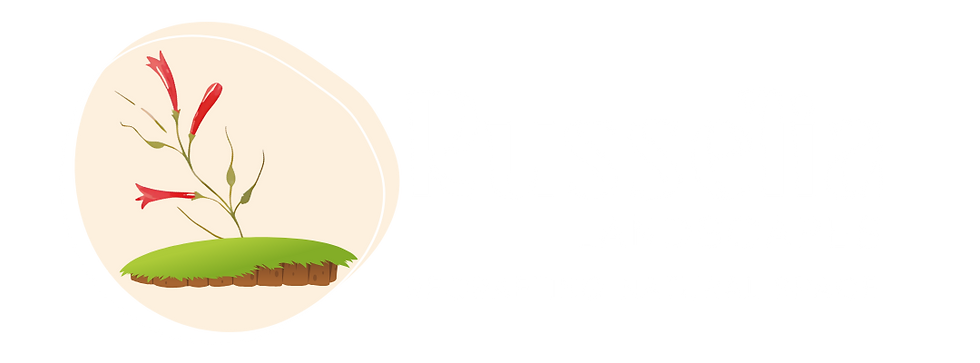 Russelia.png