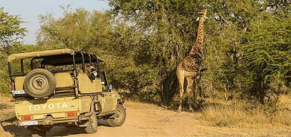 ruma-national-reserve-tour.gif