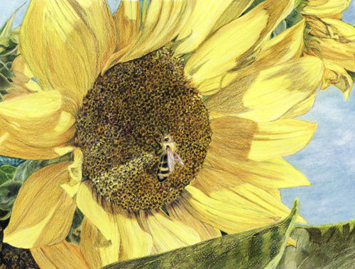 MorningBee
