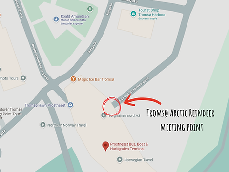 Tromsø Arctic Reindeer meeting point (2).png