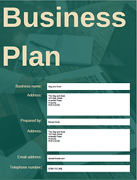 screenshot of business plan front page.p