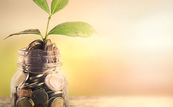 WuTB10965006 (1).jpg