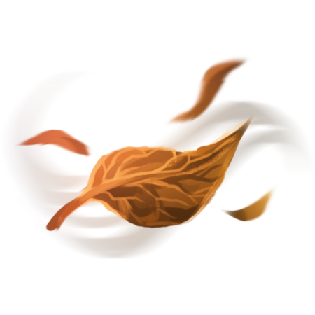 Windy Icon.png