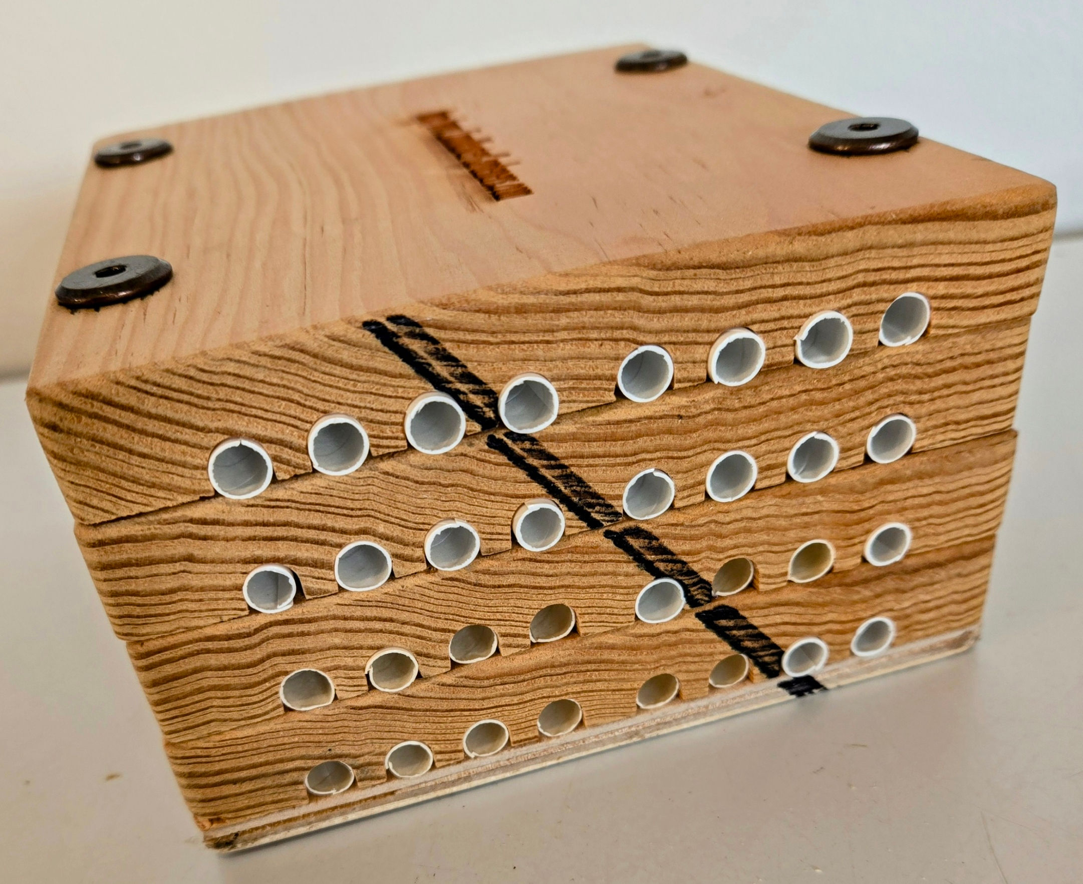 Spring Bee Block - Mason Bees