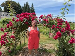 Rose_Arch