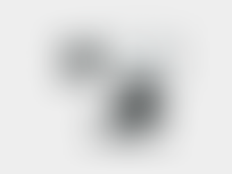 Compte rendu du Comité Directeur du 26 Février 2026