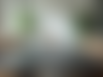 Improving Organizational Health: EVA Consulting Expert Advice