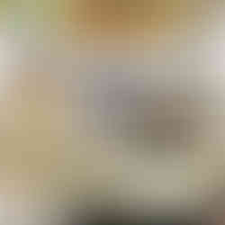 Jungle Classroom Decor