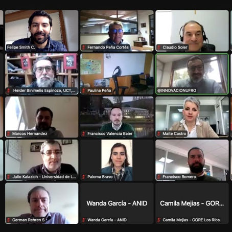 Nodo Conexión Sur expuso sus iniciativas que buscan guiar las CTCi en la Macrozona Sur