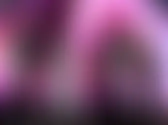 U2 encerra temporada de shows em Las Vegas, com a presença de Dave Grohl e Larry Mulen Jr. na plateia