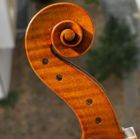 Voluta inspirada em Andrea Amati Viola, 2025. Felipe Soares