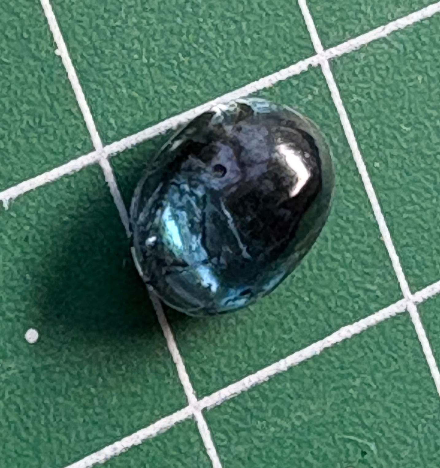 Cabochon - Aqua Kyanite Oval