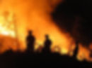Wildfire