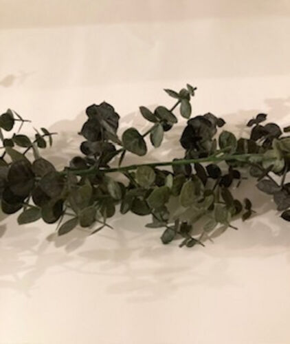 Eucalyptus Garland .jpg