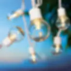bulb lights.webp