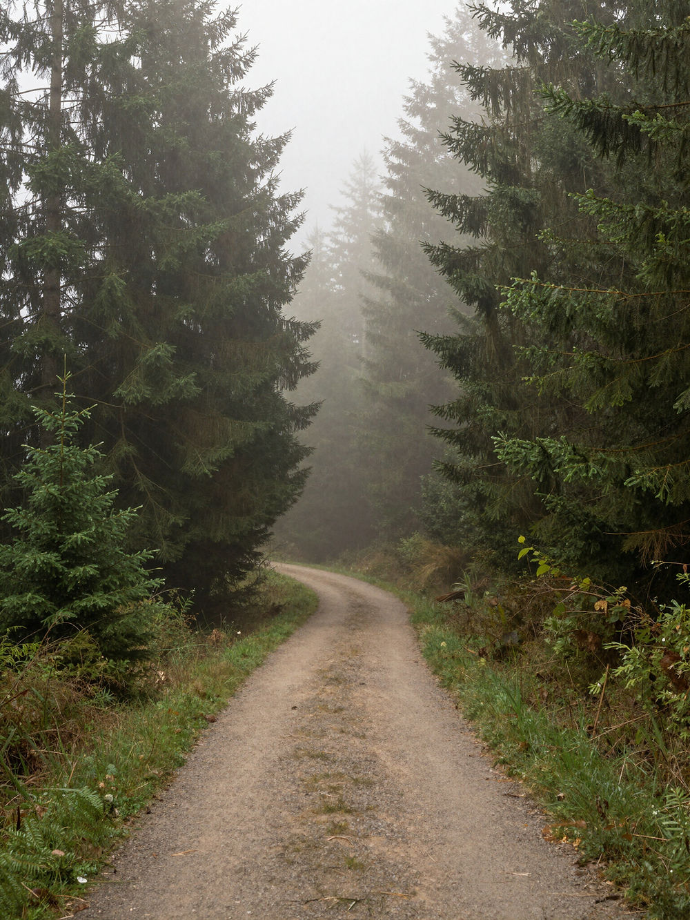 A quiet path unfolds, inviting you to slow down and step inward. Surrounded by stillness and guided by subtle light, this journey is not about finding something outside of yourself, but remembering what has always been within. Each step softens the noise, deepens your awareness, and brings you closer to clarity, truth, and a grounded sense of self.