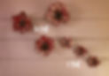 20201229_072410.jpg