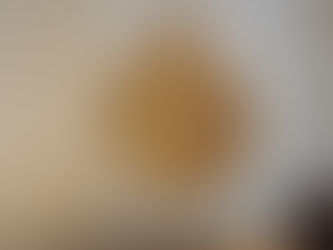 第2回ブリランテピアノテストを開催しました