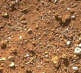 ラスティック建築研究所