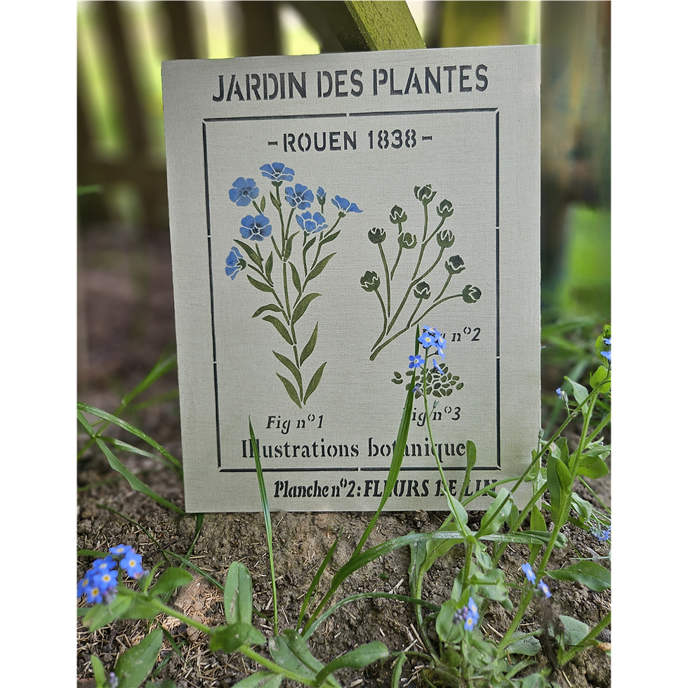 Miniature : Planche fleurs de lin