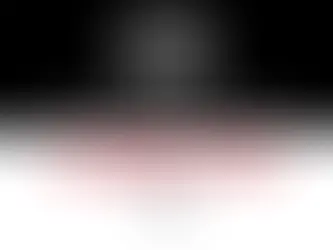 Kim Consulting × Illinois Institute of Technology