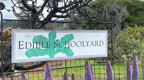 Edible Schoolyard Plant Sale & Spring Festival - April 13