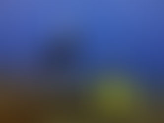 ilk kez dalış fethiye