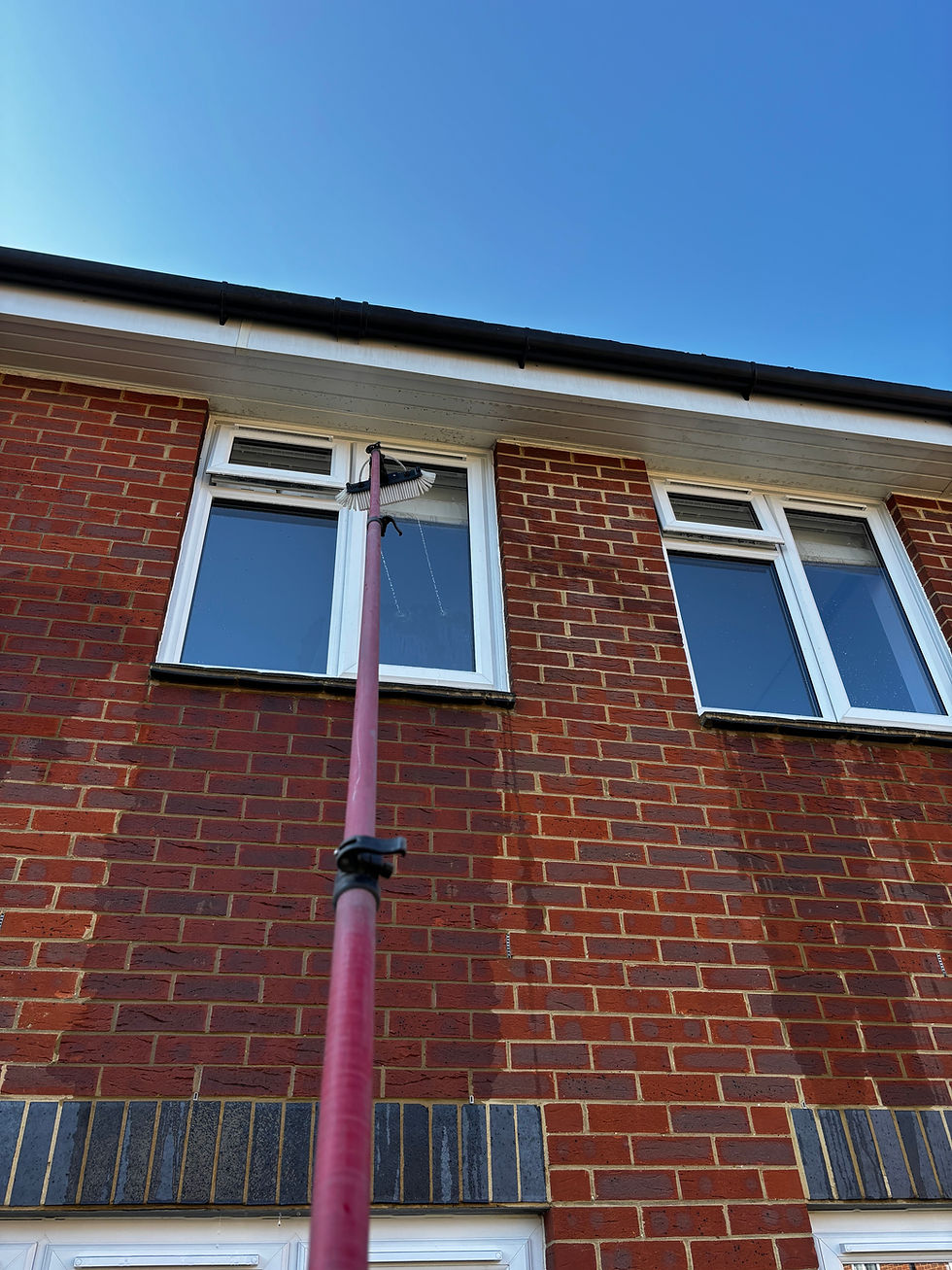 WINDOW03