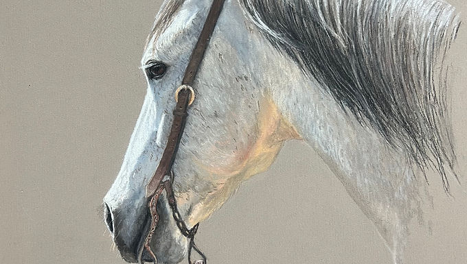 Biloxi, Kathryn Merrill