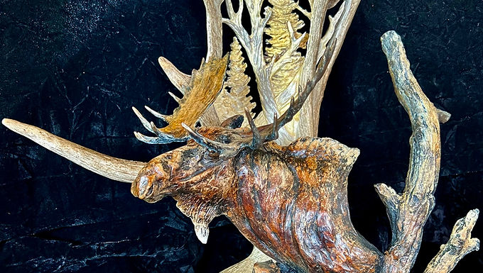 Mountain Moose, Scott Hayes