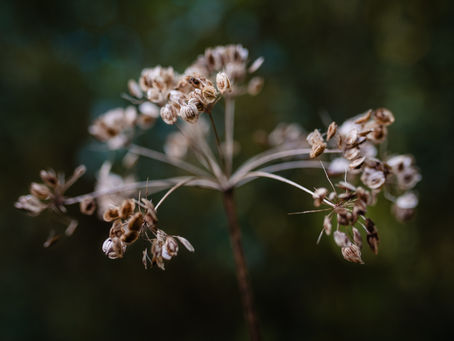 Leren fotograferen, cursus basisfotografie