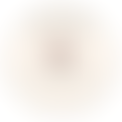 N’Vida Body Care: Carefully Crafted Lotions and Oils
