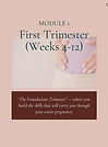 PrePostnatal Strength Program (3).jpg