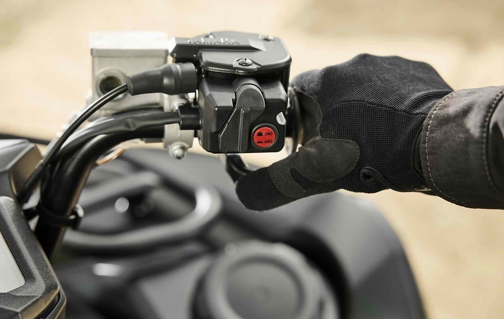 Miniatura: Grizzly 700 XTR