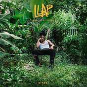 LLAP-cover-5 copy.jpg