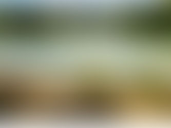 Sunday Afternoon in Central Park 1981