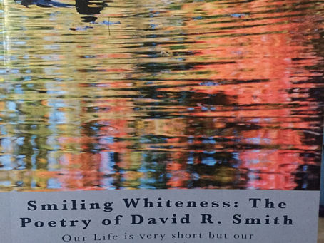 Gigantic gapsAll systems fail Without gigantic gapsThe anxiety ridden mindNeeds gigantic gaps.Effici