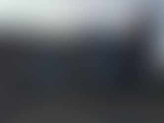 If only trees had the vote: my journey to Puritas