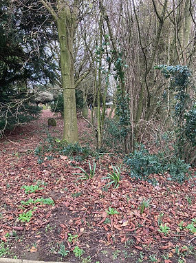 325401107_696013635303753_7731148864886050713_n (1).jpg