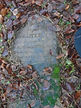 3 109 p w lilley.JPG