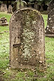 2 20 p - Walter WHITWELL (possibly).jpg
