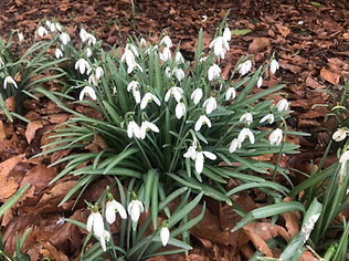 155951381_10159110777270747_580966472633