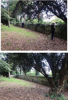 120306048_10158711094575747_777704484940