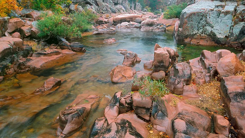 castor river shut ins.webp