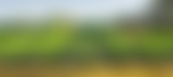 Bendigo Wineries We Visit