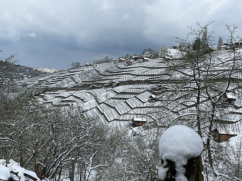 Hangweg am Scharrenberg mit Blick über Degerloch