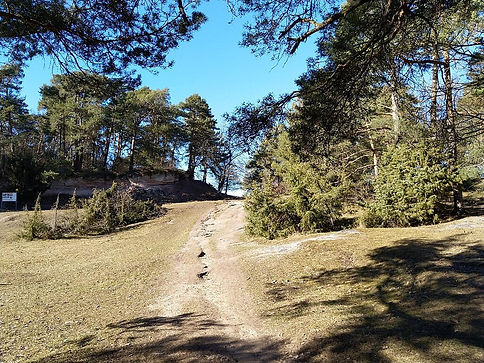 Naturschutzgebiet Gerlinger Heide mit weitem Blick über die Landschaft